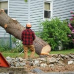 WebTech Group Secures Compete Tree Services Website 2 WebTech Group Secures Compete Tree Services Website