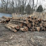 MyStock Cedar Logs Stacked 1