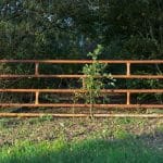 alkemade fence 4580069 scaled