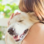 When and how to respond 3 When and how to respond