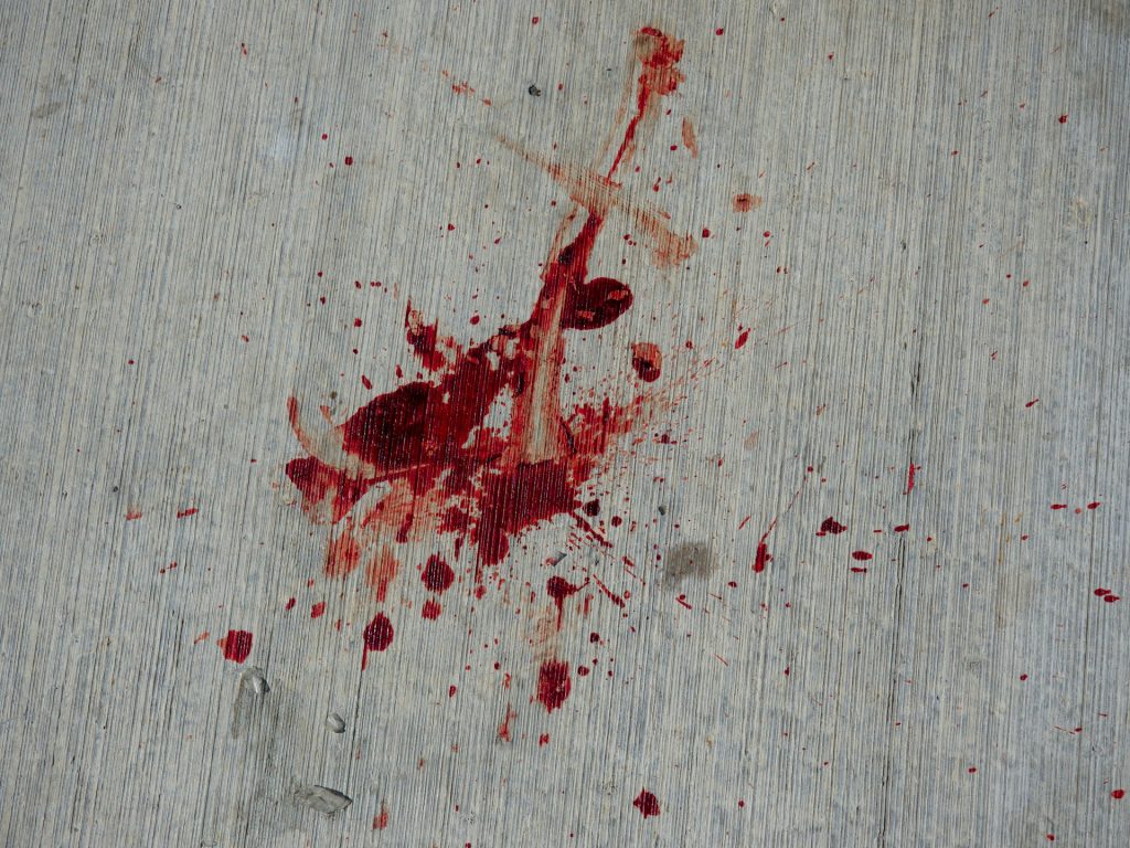 Anti-Putin Russian Artist Shot Dead In Poland 1 Anti-Putin Russian Artist Shot Dead In Poland
